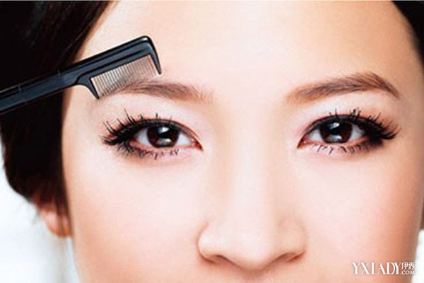 霞山区“红树林保护协作探索工作室”正式揭牌